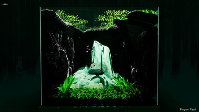 Hình ảnh trong game Fish Game v00.02.62-P2P