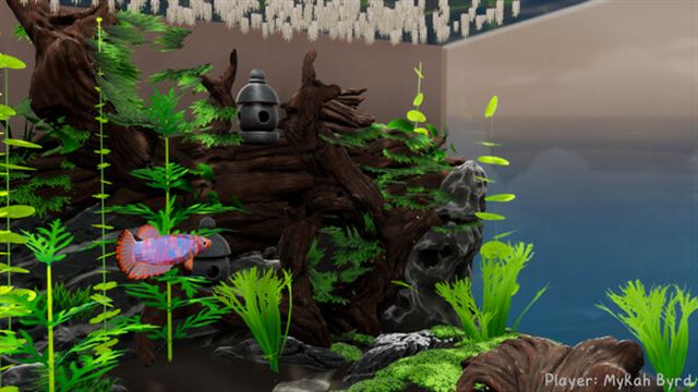 Hình ảnh trong game Fish Game v00.02.62-P2P