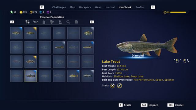 Hình ảnh trong game Call of the Wild The Angler v1.7.5-RUNE
