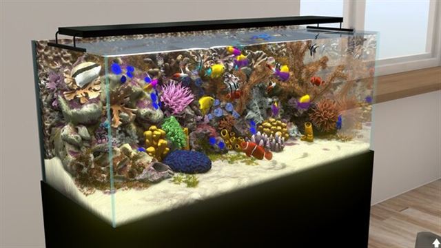 Hình ảnh trong game Behind Glass Aquarium Simulator v1.1-P2P