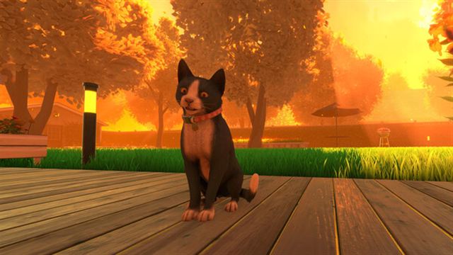 Hình ảnh trong game Copycat v20241001-P2P