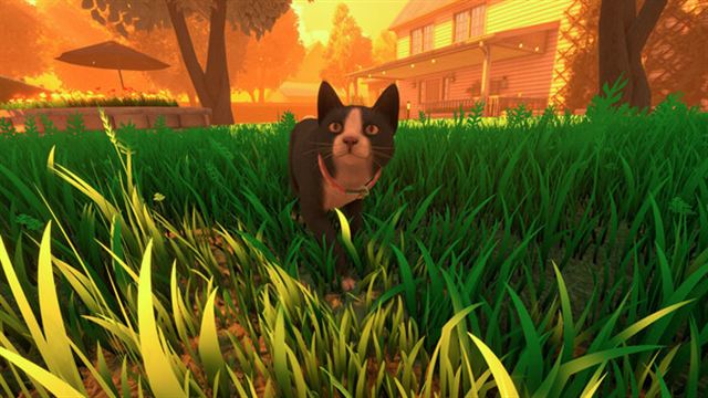 Hình ảnh trong game Copycat v20241001-P2P