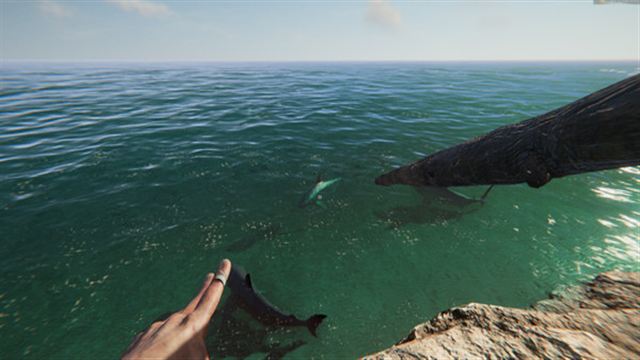 Hình ảnh trong game Project Castaway Early Access