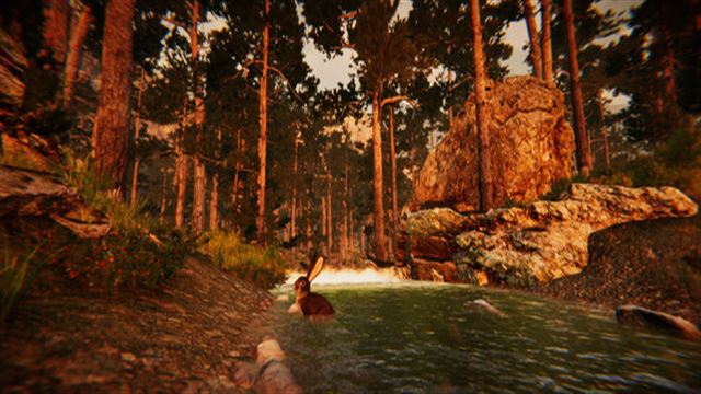 Hình ảnh trong game Animal Simulator-TENOKE