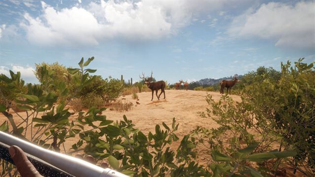 Hình ảnh trong game theHunter Call of the Wild v2989309-P2P