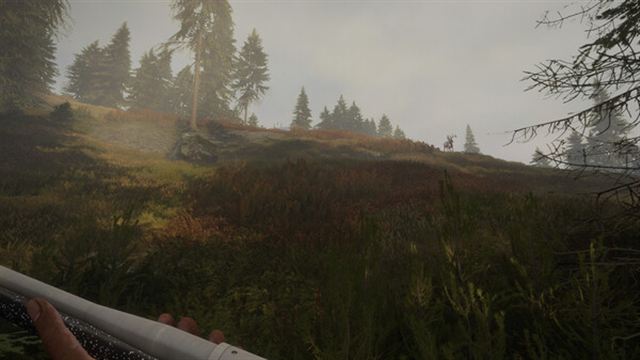 Hình ảnh trong game theHunter Call of the Wild v2989309-P2P