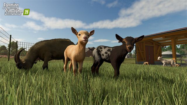 Hình ảnh trong game Farming Simulator 25 v1.10.0.0-P2P