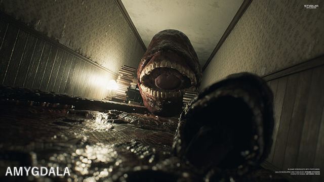 Hình ảnh trong game Amygdala Enhanced-SKIDROW