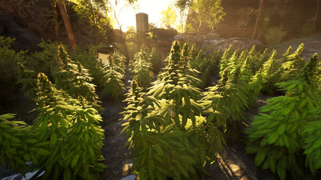 Hình ảnh trong game Weed Shop 4 Highland Early Access