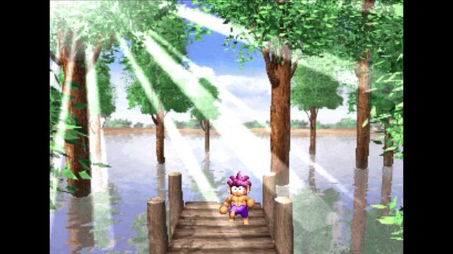 Hình ảnh trong game Tomba Special Edition-TiNYiSO