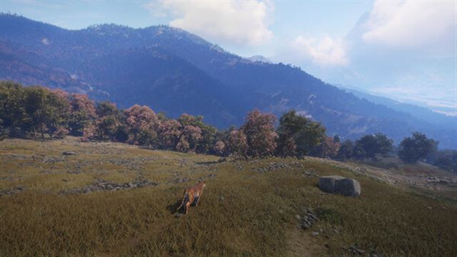 Hình ảnh trong game theHunter CoTW Sundarpatan Hunting Reserve-TENOKE