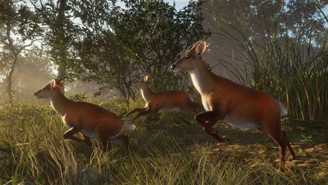 Hình ảnh trong game theHunter CoTW Sundarpatan Hunting Reserve-TENOKE