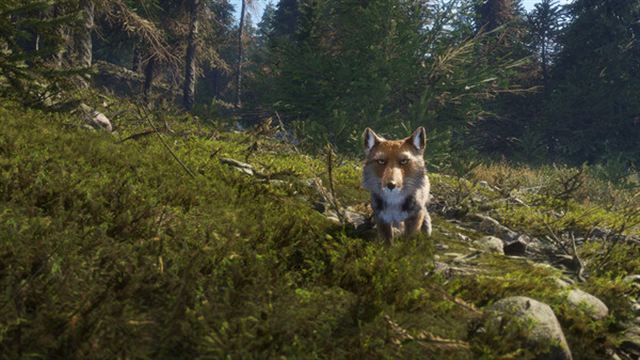 Hình ảnh trong game theHunter CoTW Sundarpatan Hunting Reserve-TENOKE