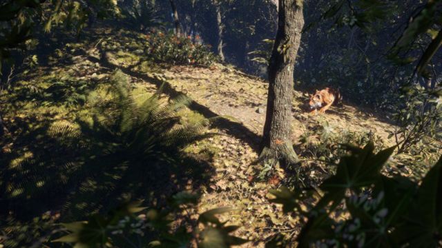 Hình ảnh trong game theHunter CoTW Sundarpatan Hunting Reserve-TENOKE