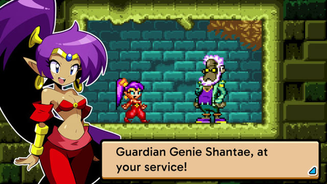 Hình ảnh trong game Shantae Advance Risky Revolution-TiNYiSO