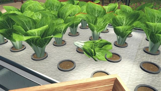 Hình ảnh trong game Hydroponics Farm and Store Simulator Early Access