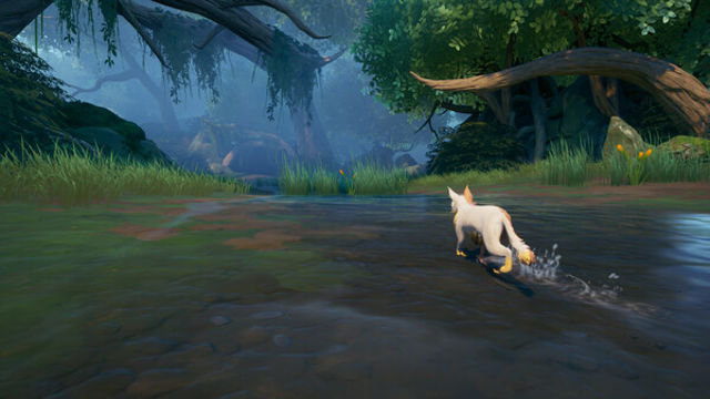 Hình ảnh trong game Warrior Cats Clans of the Forest-RUNE