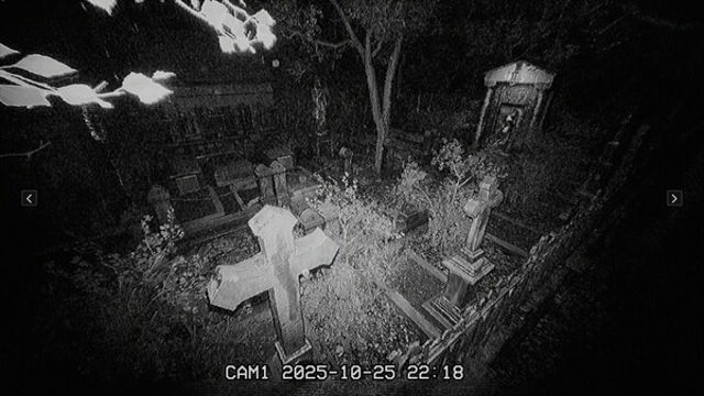 Hình ảnh trong game The Cemetery Shift-P2P