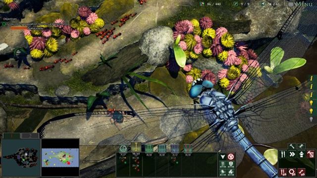Hình ảnh trong game Empires of the Undergrowth v1.000022-P2P