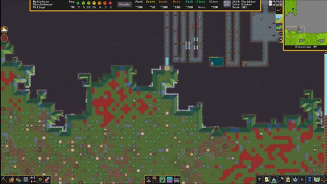 Hình ảnh trong game Dwarf Fortress v51.11-P2P
