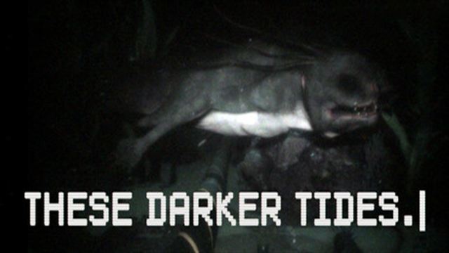 Tải game These Darker Tides-TENOKE