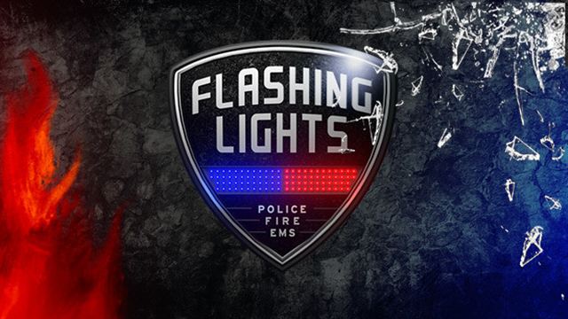 Tải game Flashing Lights BUCK Police Fire Rescue Pack-TENOKE